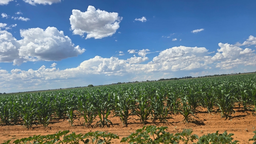 Commercial Property for Sale in Bainsvlei Free State